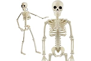 CCINEE Halloween Skeleton Decoration, Two-Pack Full Body Posable Joint Hanging Skeletons For...