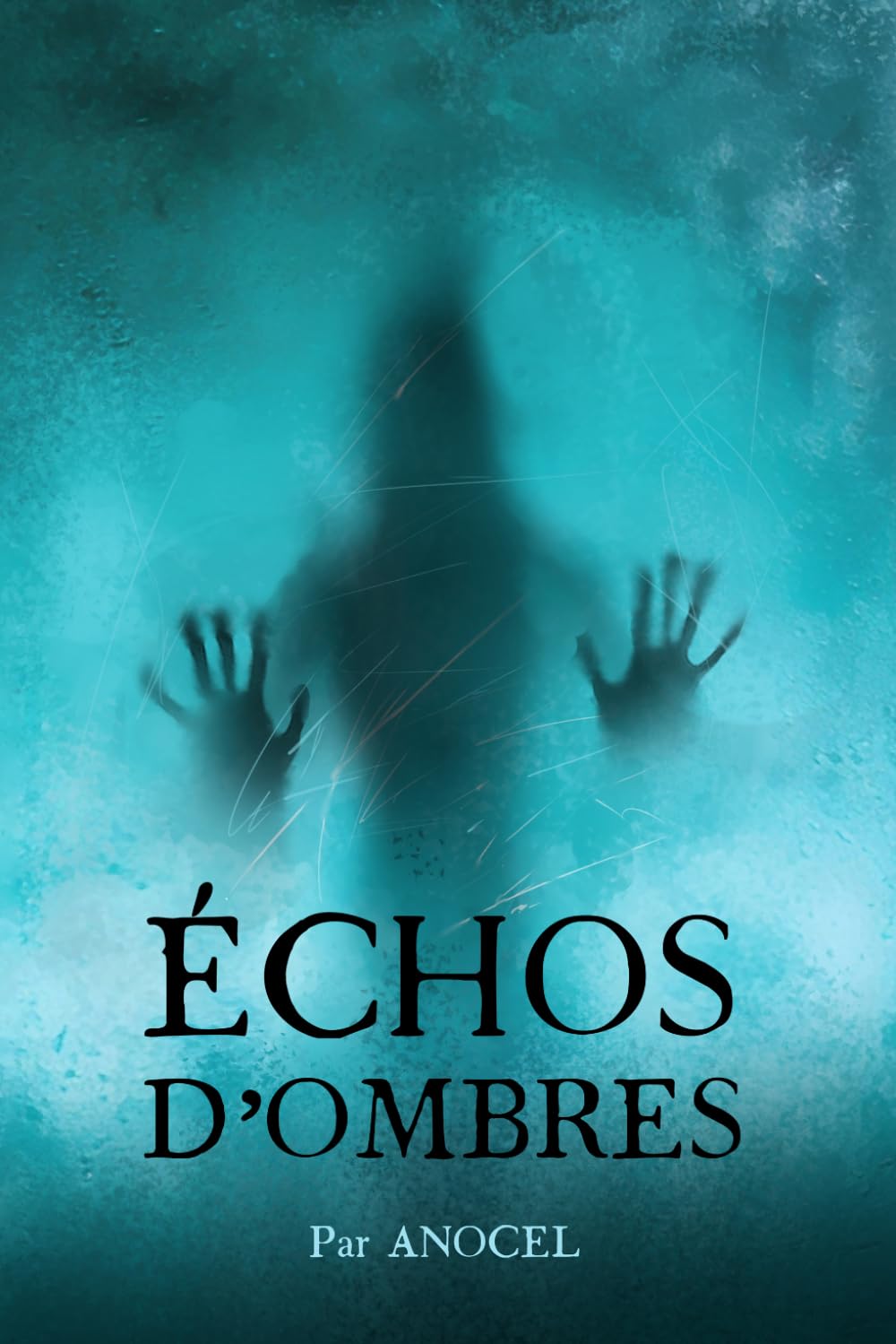échos d'ombres