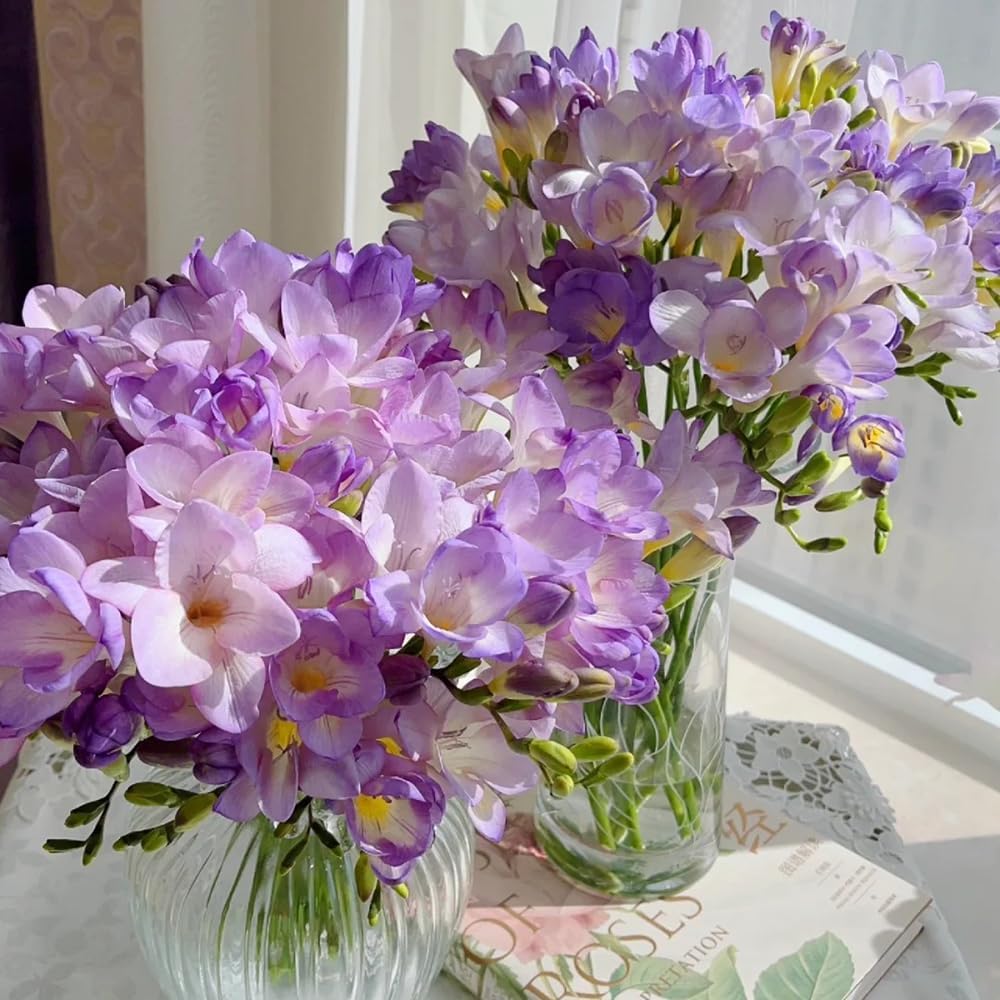 10 Bulbs Freesia Ground Cover Hardy Perennial Freesia Garden Supplies Flower Bulbs