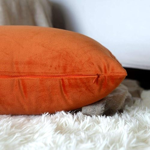 Miniatura 7 de Artcest - Juego de 2 fundas de terciopelo para cojines decorativos, fundas para cojines decorativos sólidos para sofá y cama