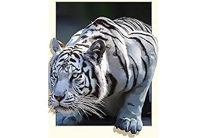Enchanting White Tiger Diamond Painting: A Masterpiece Unleashed