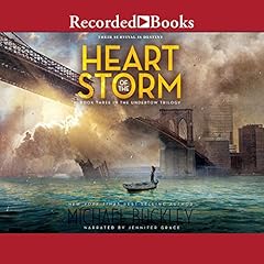 Heart of the Storm Audiolibro Por Michael Buckley arte de portada