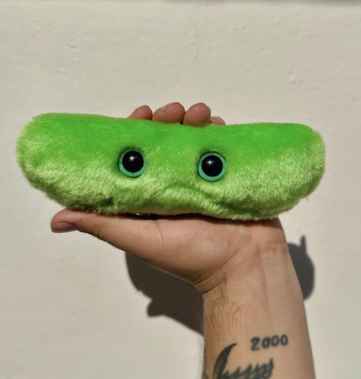 GIANT MICROBES Tuberculosis Plush, Microbiology Gift, Medical Gag Gifts Funny, Doctor Gifts, Bacteria Plush, Virus Plush Toy, Immune System
