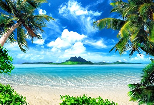 Fondo fotográfico verano playa Hawaii 10x8ft azul miniatura 4
