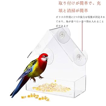 貴重‼︎マウンテンリサーチ廃盤品　親子鳥 O-Rei T7 MG