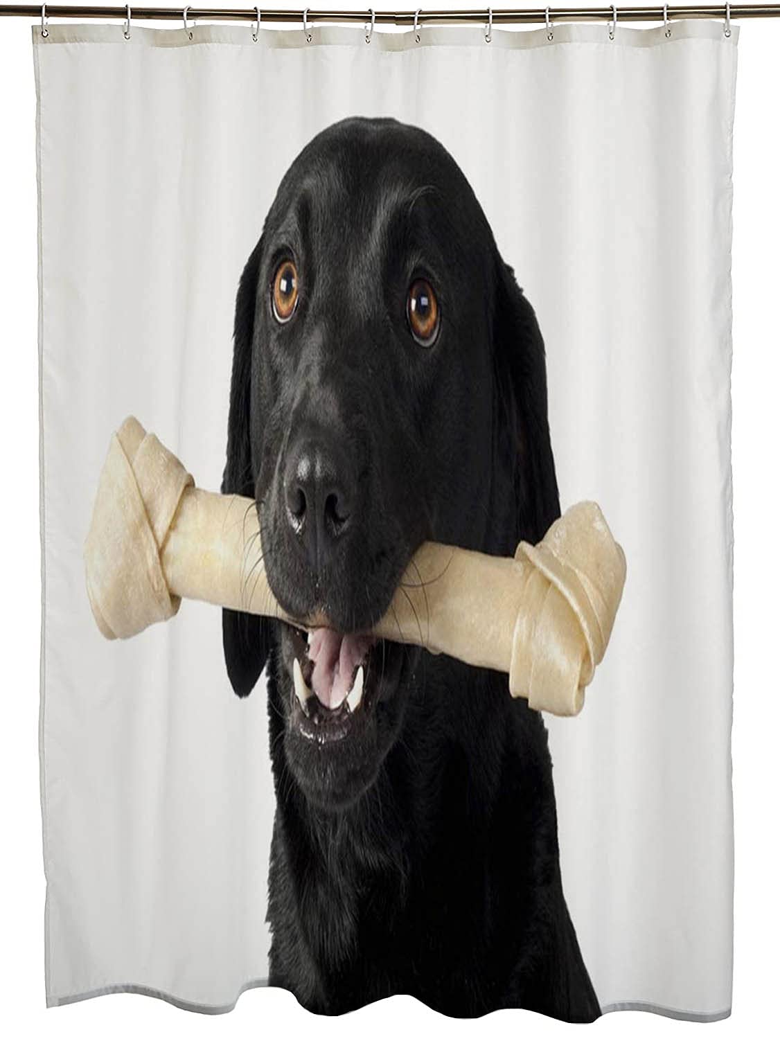 Chocolate Lab Shower Curtain
