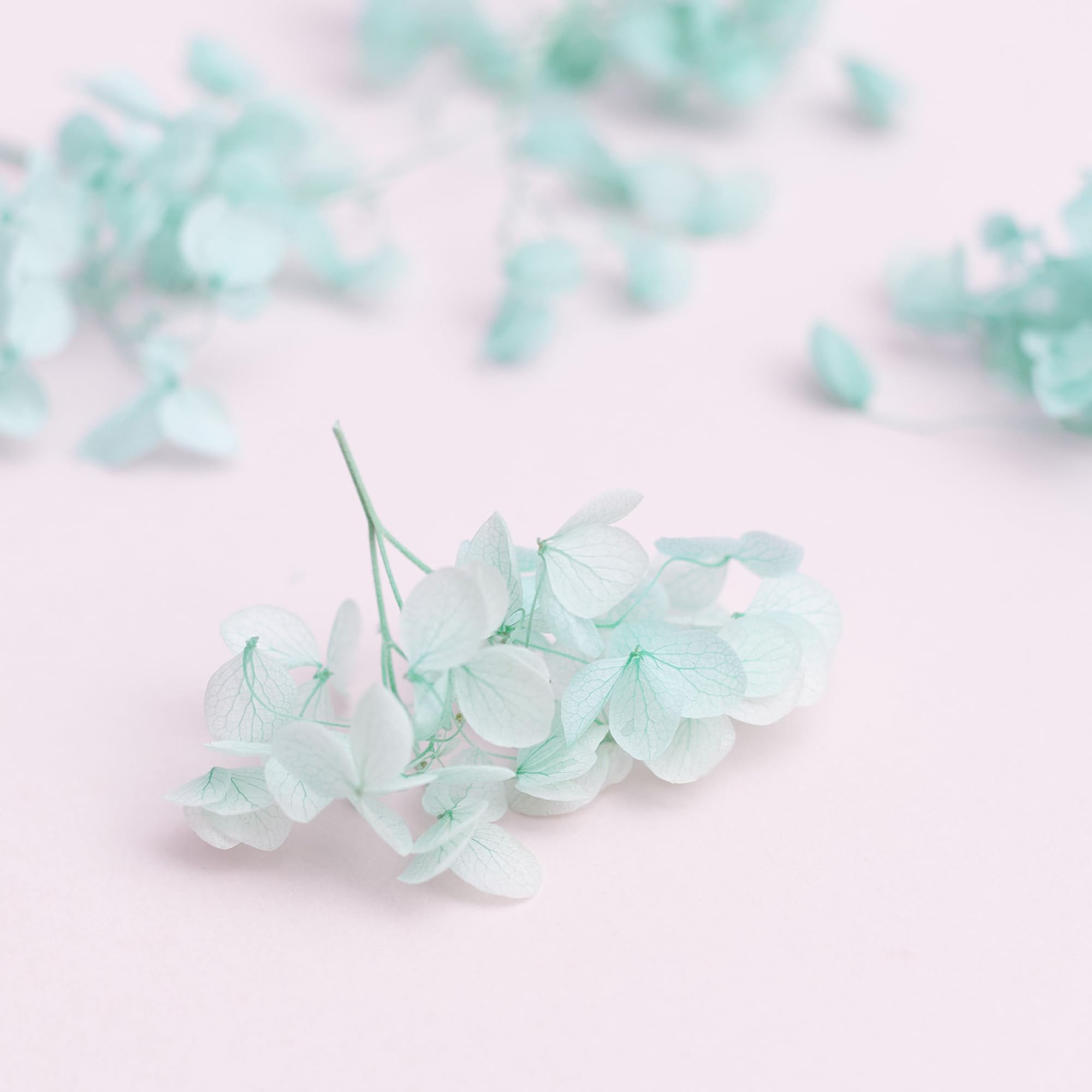 The Baked Studio - Original Dried Flower Hydrangea Set For Cake & Cupcake Decorating & Others Crafts (Turquoise) - Image 3