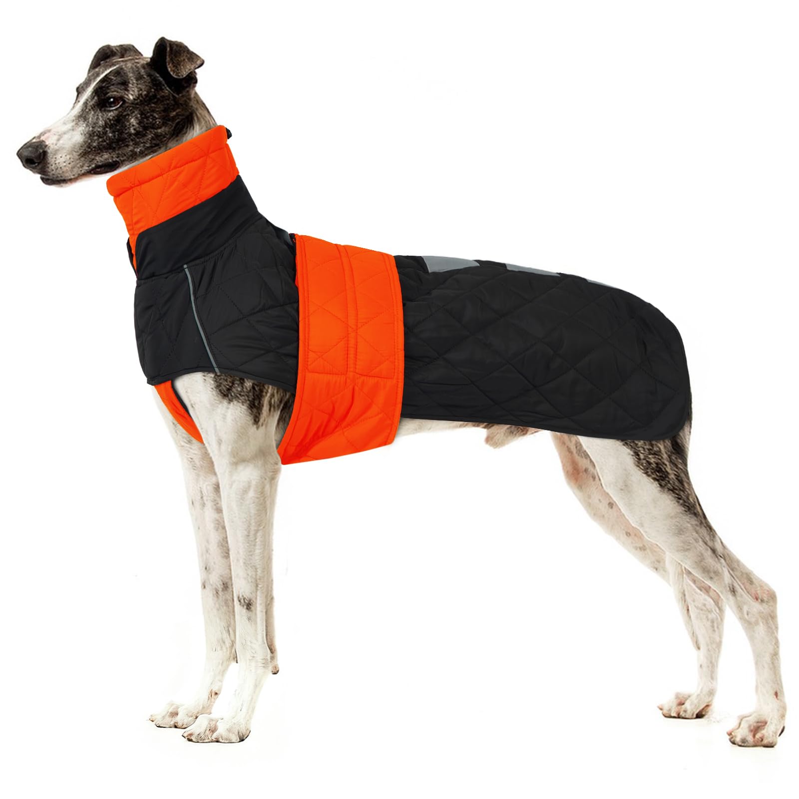 Manteau Levrier Imperméable, Manteau de Chien Grande Veste Chaude Chien Vêtement d'hiver Levrier Pull à Coupe-Vent pour Chiens