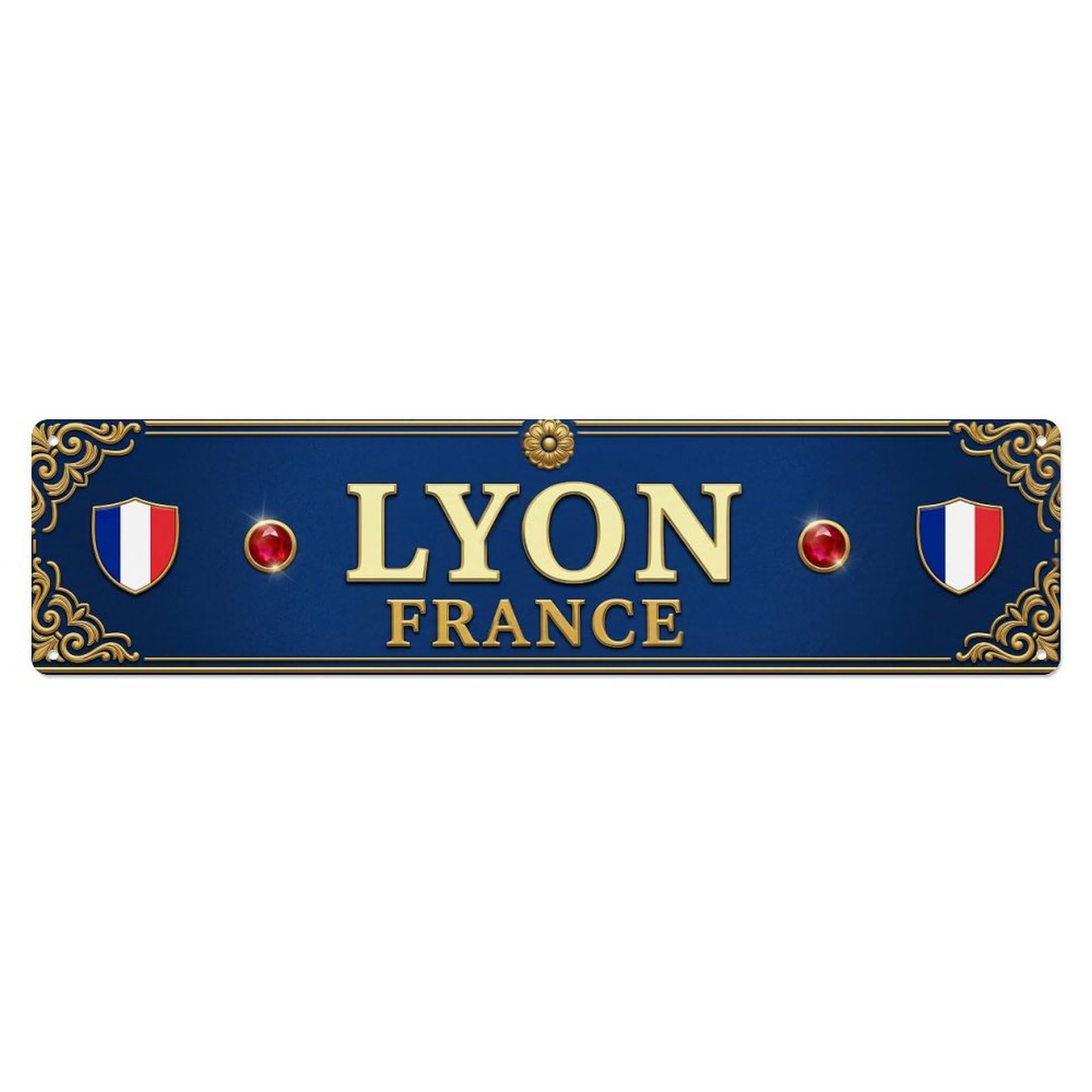 France Lyon Retro Metal Tin Sign