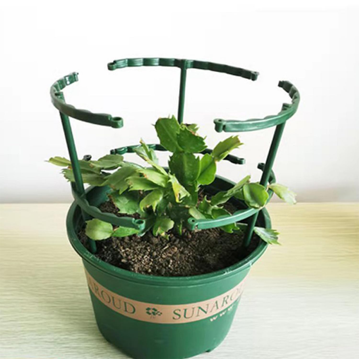 Ktnyl 20 Stck Rankhilfe Zimmerpflanzen, Zimmerpflanzen Sttzen, Kunststoff  Pflanzensttze, Zimmerpflanzen Sttze Plasti, fr Pflanzen Blumen Gemse :  Amazon.de: Garten