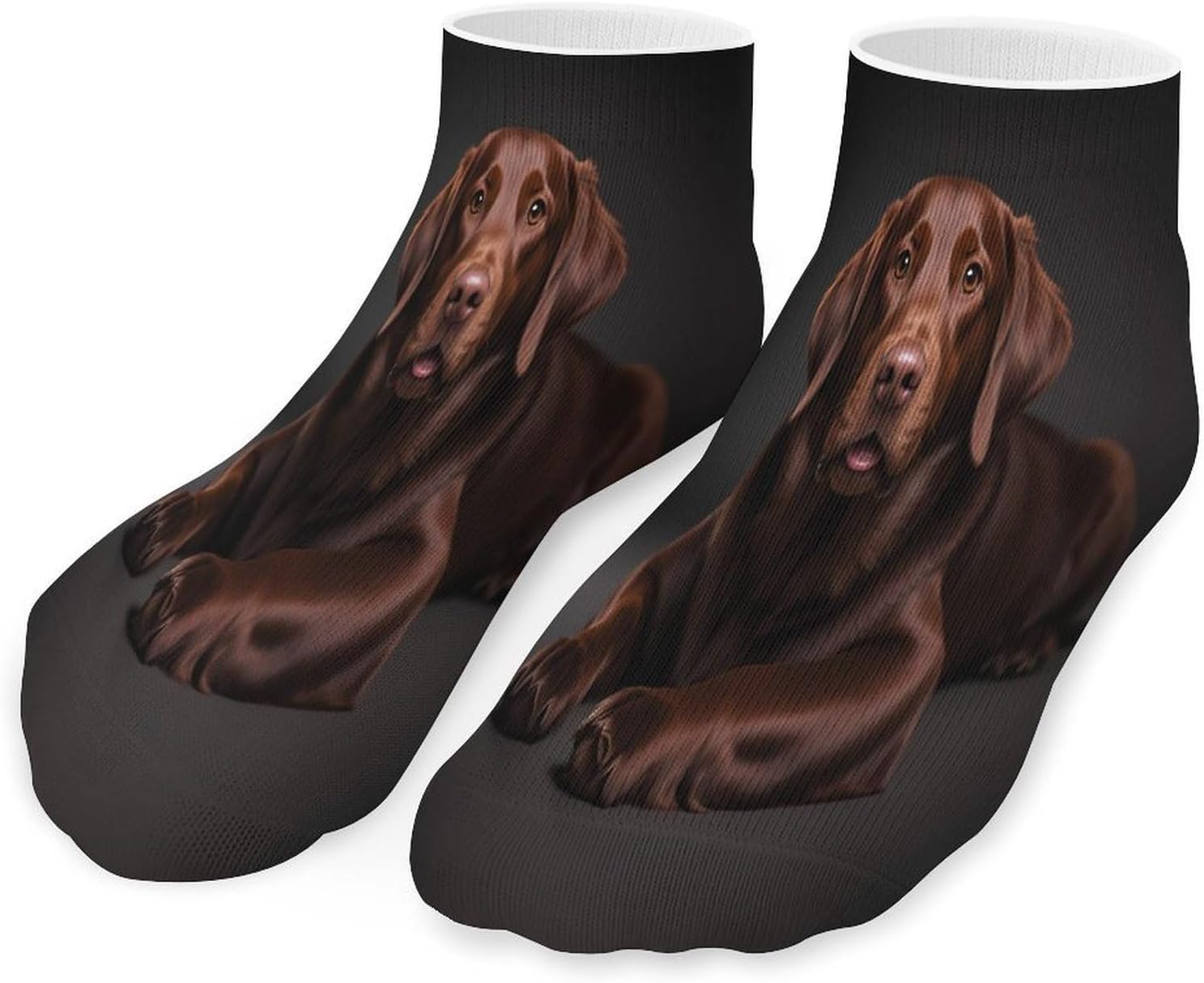 Brown Labrador Retriever Ankle Sock-Low Cut Breathable,Basketball Socks for Men Women,Tube Socks for Work Sports