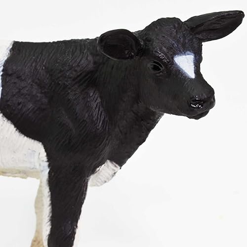 Miniatura 5 de Safari Ltd. Holstein Figura de ternero – Figura detallada de plástico de 3.25 pulgadas – Divertido juguete educativo para niños, niñas y niños a