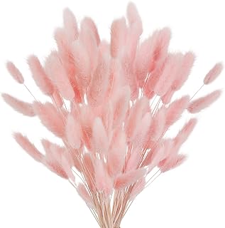 100 Pcs Bunny Tails Dried Flowers, Natural Dried Bunny Tails Grass Dried Lagurus Ovatus Rabbit Tail Grass for Flowers Arrangements DIY Craft Wedding Party Home Table Decor (Pink)