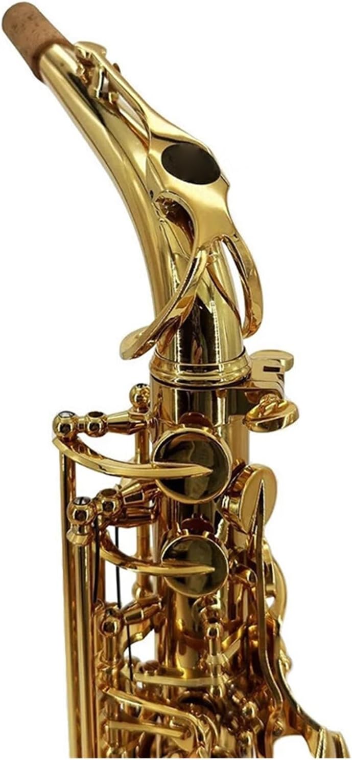 アルトサックス Eフラット プロの演奏に適した初心者用楽器 サックス 初心者 アルトサックス Eフラット プロの演奏に適した楽器 サックス 初心者  Amazon.co.jp: サックス楽器 E初心者、大人、子供のための フラットアルトサックスフォンの風具、プロのパフォーマンス ...