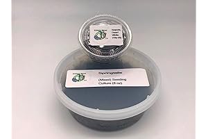 Dwarf White Isopods (Springtails + Isopods Live Cultures)