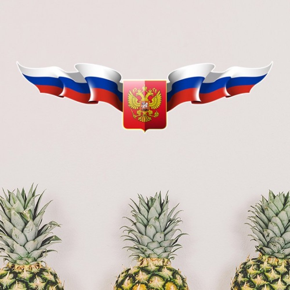 Renueva tu pared sin obras usando el vinilo extraíble Rusia de salón