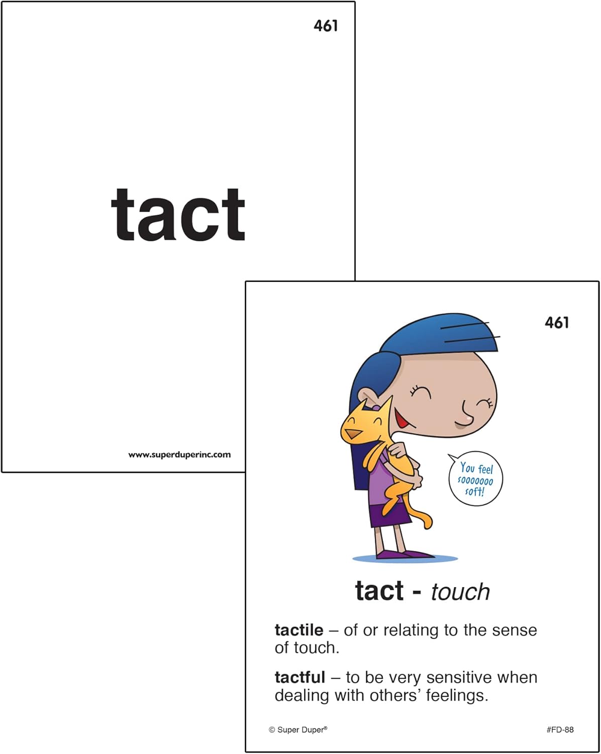 Super Duper Publications Flash Cards, 500 Prefixes Suffixes and Stems, Box (FD88B)