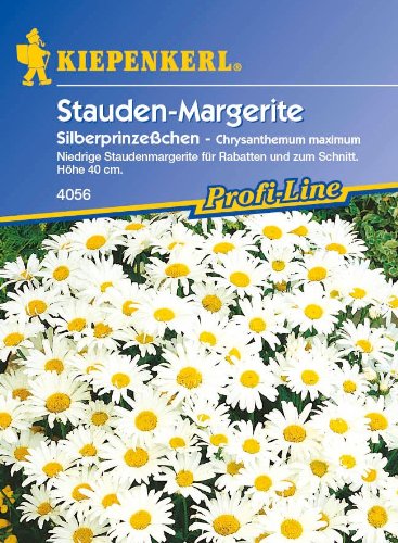 Chrysanthemen-Samen Kiepenkerl Staude,'Silberprinzesschen'