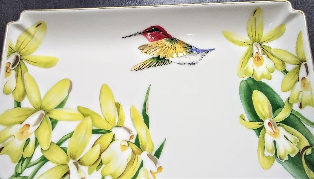 EDK77c 未使用 ビレロイアンドボッホ アマゾニアプレート ドイツ製 Amazon.co.jp: ブランド食器(ビレロイボッホアマゾニアプレート&蓋付