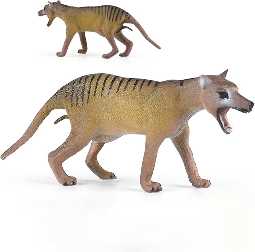 61aDwcNOyyL._AC_UF894,