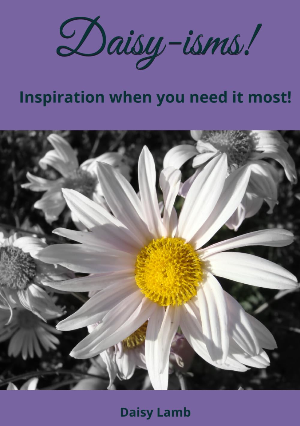 Daisy-ism's!: Inspiration when you need it most!