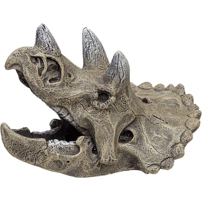 Blue Ribbon Small Triceratops Skull Aquarium Ornament