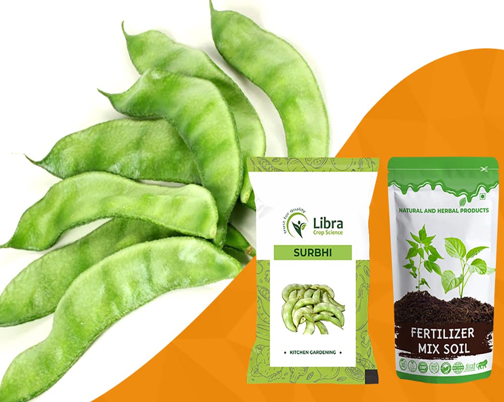 Dolichos Bean Seeds for Home Garden | Farming | Vegetable | Kitchen Hybrid | Planting | Terrace | Balcony | Eating | Hyacinth Bean | Lablab Purpureus | Egyptian Bean | Valor 25 Gram 180 Seed (SURBHI) (B0B34KP46D) Amazon Price History, Amazon Price Tracker