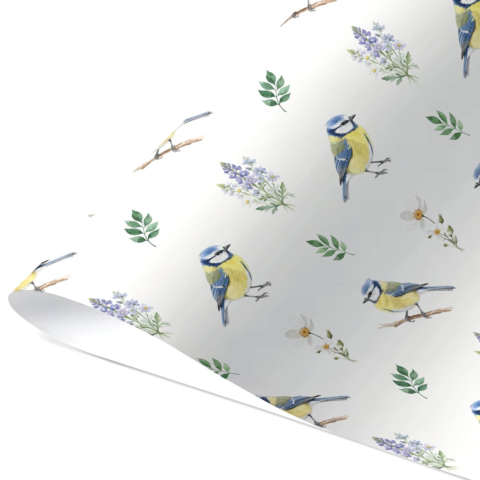 View 5