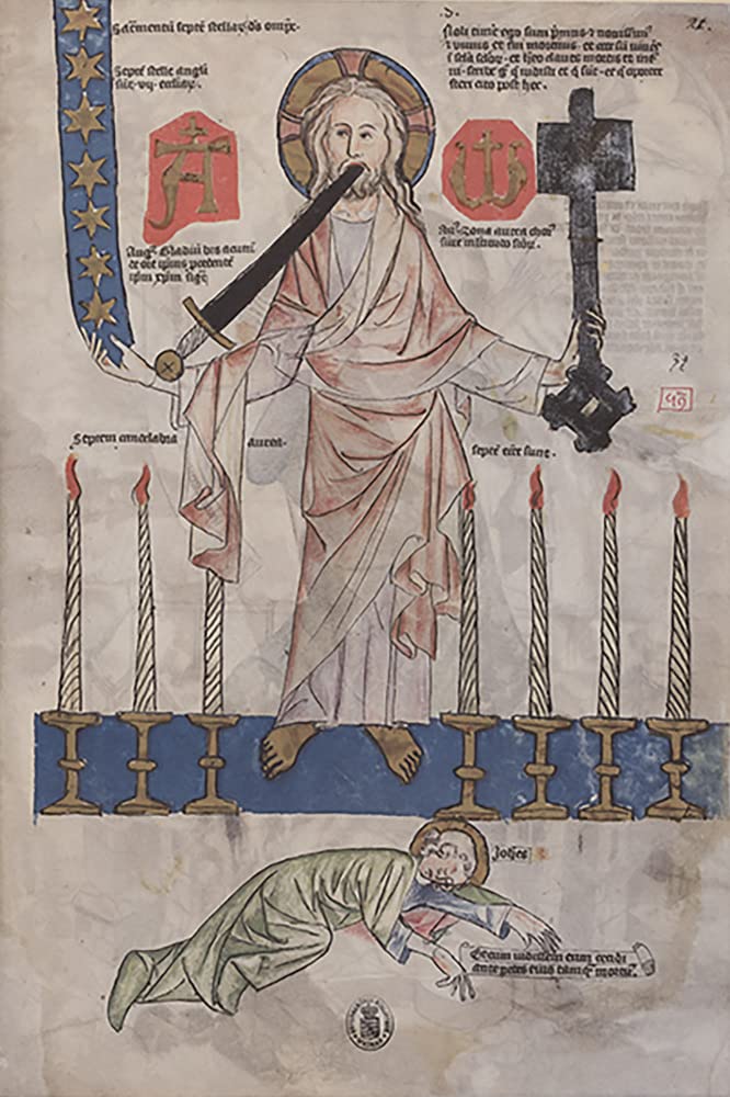 Biblia Pauperum. Apocalypsis. Die Weimarer Handschrift.: Reprint aller Tafeln mit großformatigen Details