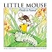 Little Mouse Finds a Friend