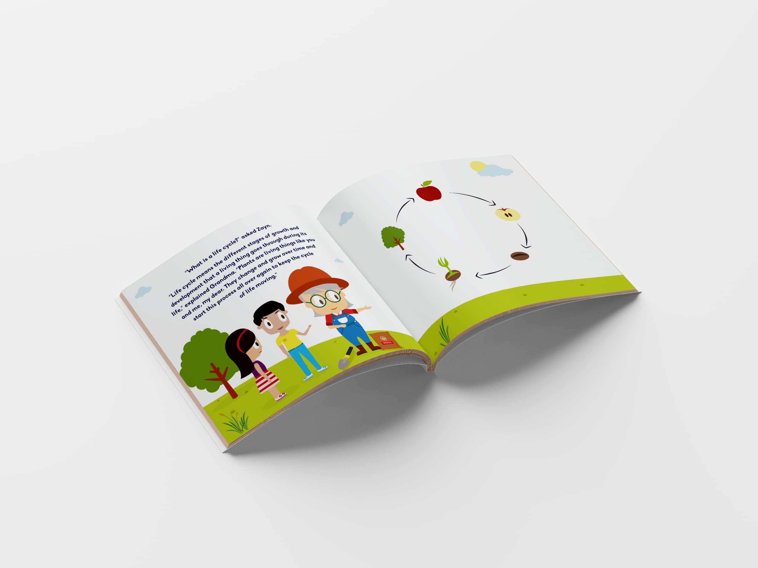 Life Cycle of a Tree for Kids Ages 3-7 - Educational Nature Science Picture Book | Plant Life Cycle Book for Preschool, Kindergarten and Homeschool Learning 4