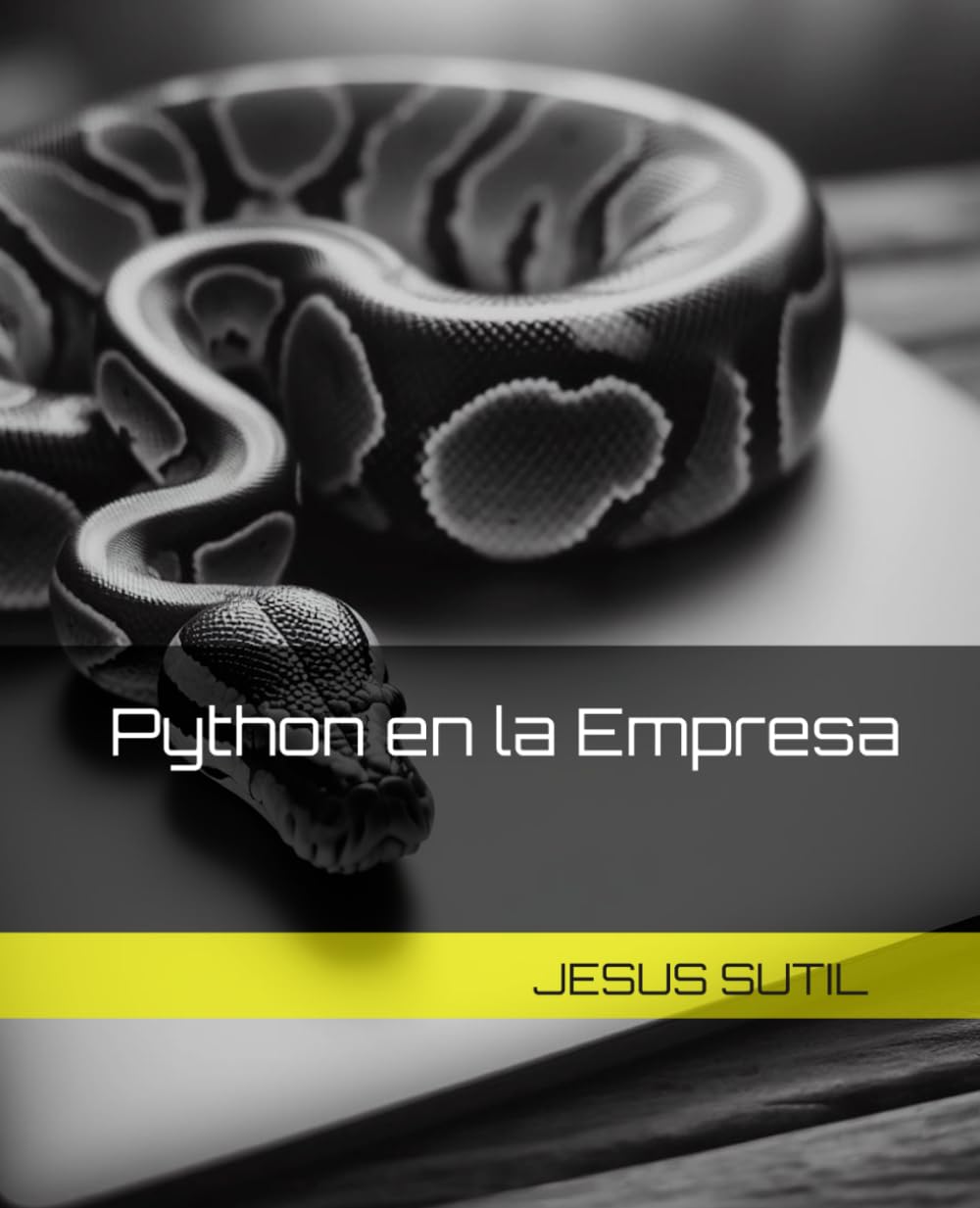 Python en la Empresa