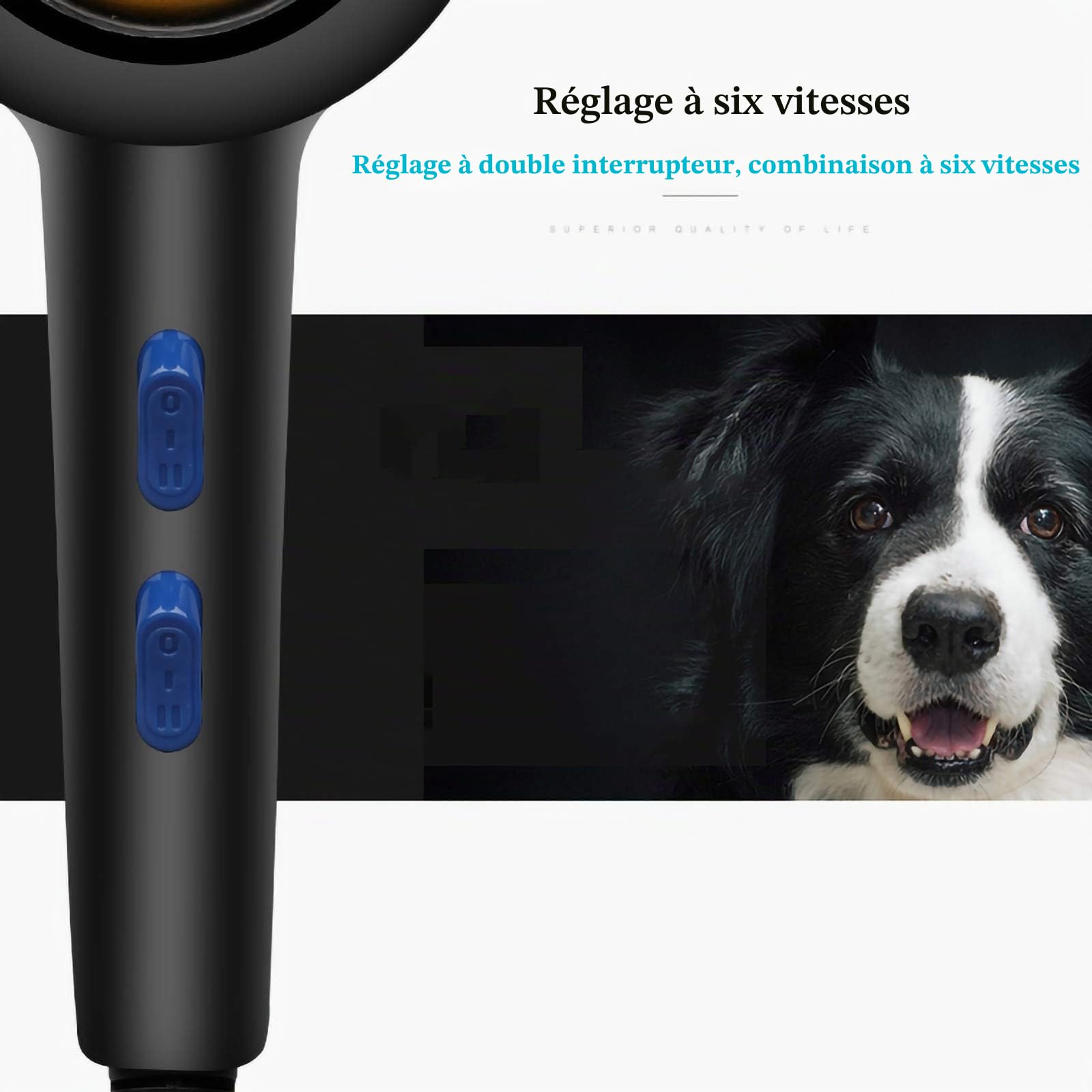 Chien Dog Sechoir Sèche-Cheveux, Professionnel Sèche-Poils pour Chien, Réglable Vitesse du Vent et Plage de Température, sourdine, Lumière Bleue Stérilisation