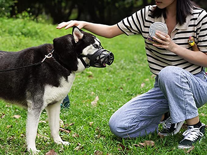 Image of Pet Muzzle /Mouth Cover for Anti Biting Dog - Adjustable Pet Safety Strap Plastic Muzzle Cum Mouth Cover /Basket Cage (Small)