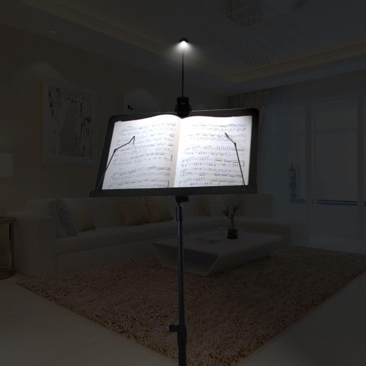 HiYi LED Music Stand Light Book Reading Lamp Flexible Eye Care Dimmable Clip Light Best Suited for Bed Reading BBQ Grilling Desk Travel (One Arm 4 led Chips with USB Cable)