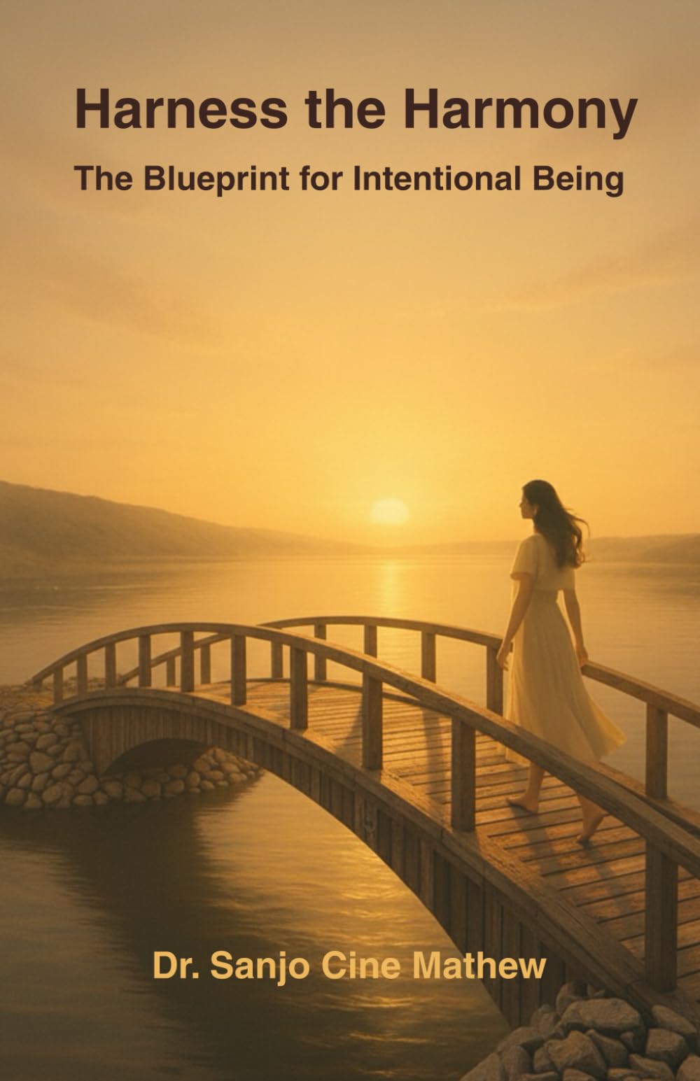 Harness the Harmony: The Blueprint for Intentional Being (The Intentional Life Blueprint Trilogy)