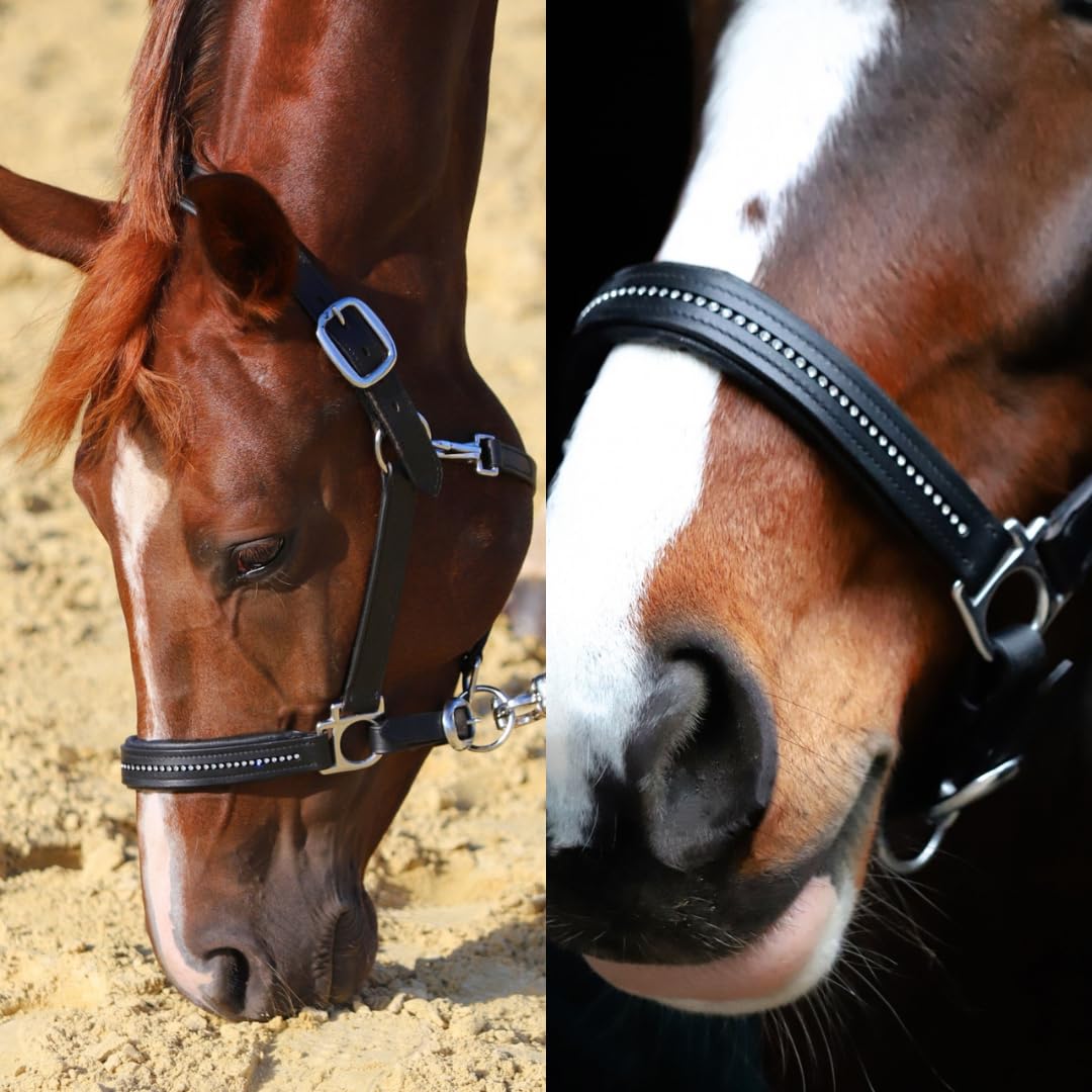 Marengos - Halfter Diamond aus Leder | Halfter für Pferde | Pferdehalfter mit farbig unterlegtem Nasenriemen & Genickstück | edles Lederhalfter | Pferde Zubehör in Schwarz | Warmblut