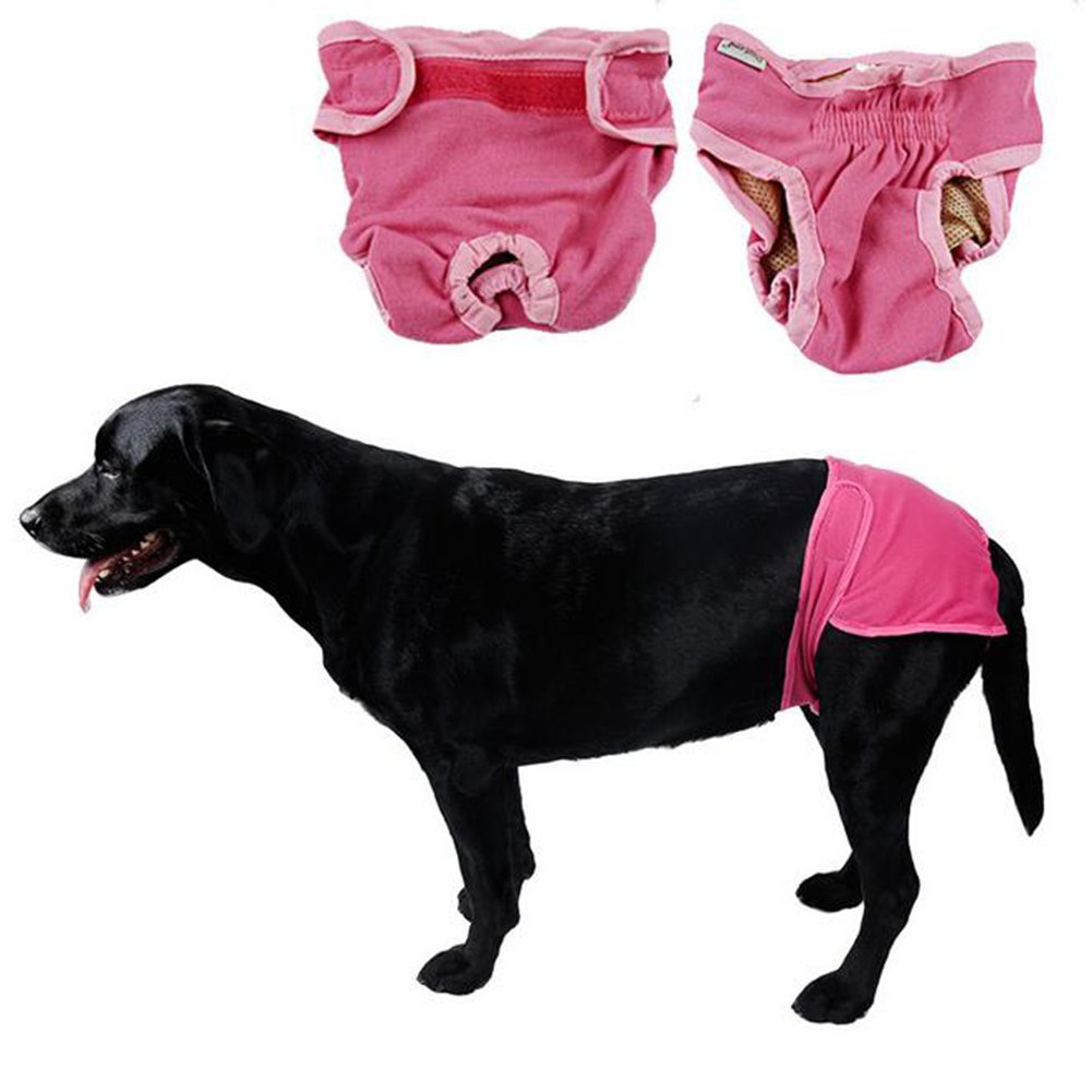Pet Clothes, Dog Menstrual Pants Puppy 