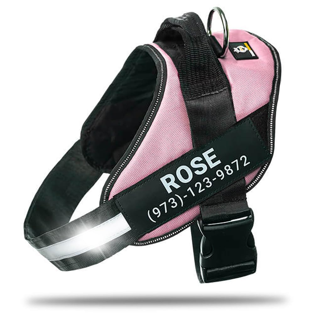 DOGGYKINGDOM Personalized No-Pull Dog Harness with Name Patch, Adjustable, Reflective, Padded, Heavy Duty Pet Vest to Prevent Tugging, Pulling, or