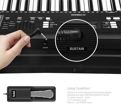 Imelod Digital Piano and Keyboard Sustain Pedals for Yamaha, Roland, Casio, Corg, Bellinger, Moog - Universal Foot Pedal Black