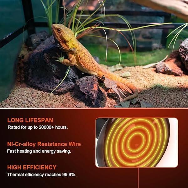 Ampoule Céramique Chauffante Lampe 220V, 2PCS E27 100W Lampe Chauffante Reptiles Noire, Durée de vie 20 000 Heures, Lampe Infrarouge Chauffante pour Animal Lézard, Tortue, Poussin, Serpent - 5
