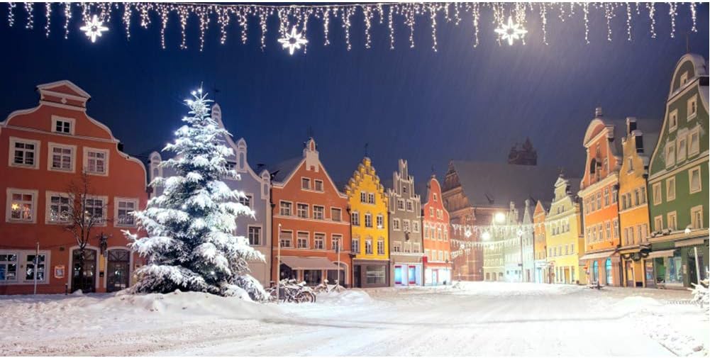 20x10ft Snowy Winter Backdrop - Snow Town Scene Christmas Village & Party Photos