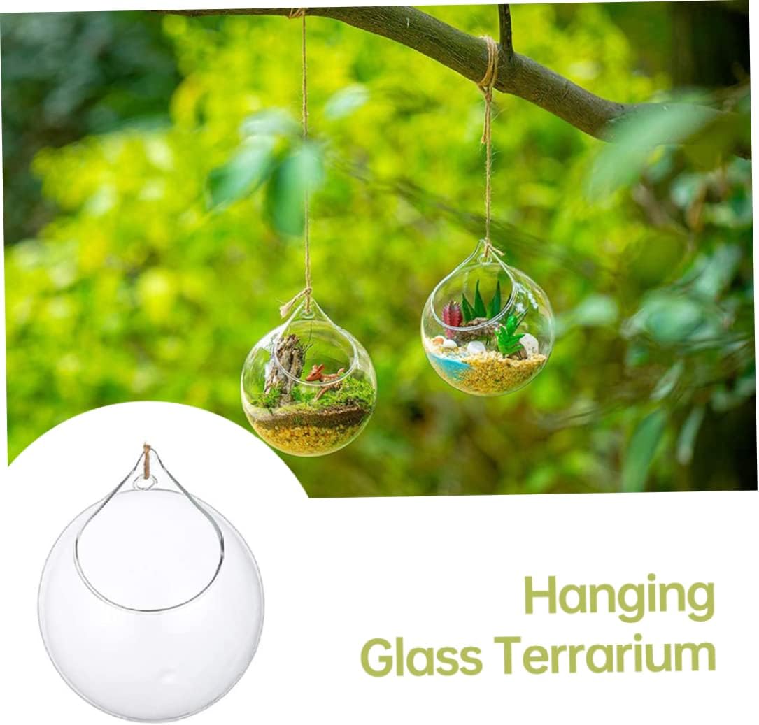 Glass Hanging Planter, 2pcs 10cm Hanging Glass Terrarium Succulents Planter, Globe Air Fern Plants Holder Vase Hanger with Big Opening for Home Decoration : Patio, Lawn & Garden