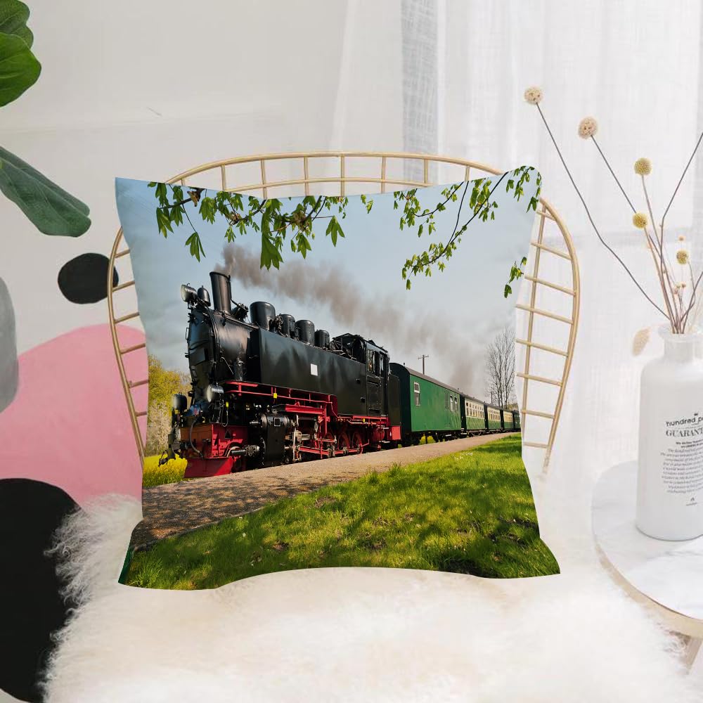 HYOSXW Cushion Cover,Throw Pillow Case Home Decorative for Living Room Bedroom Sofa Chair 16X16 Inch,Historic German steam locomotive drives through the fields,Pillowcase 40X40cm