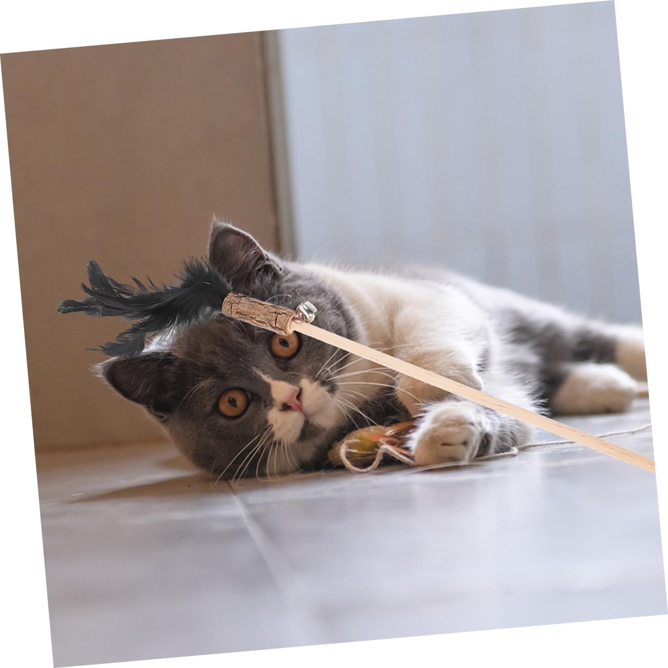 Supvox 15stücke Teiliges Interaktives Katzenspielzeug Plume Und Katzenminze Lustige Teaser Für Katzen Und Kätzchen Zur Selbstbeschäftigung Körperlichen Aktivität