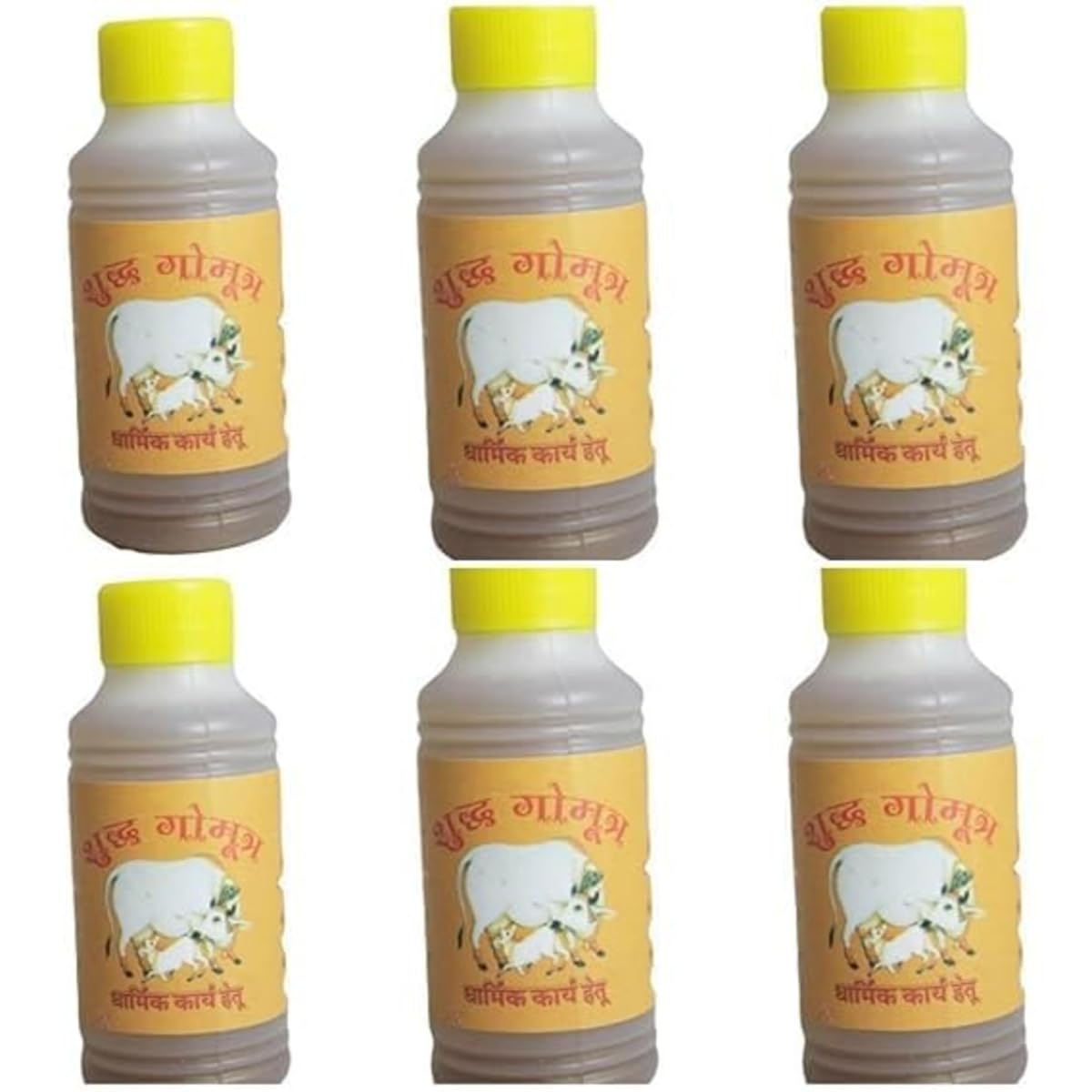Patidar Organic Gomutra Desi Cow Gomutra, Natural and Organic Cow Urine Girl Cow Desi Cow 300ML Bottle (Pack of 1)