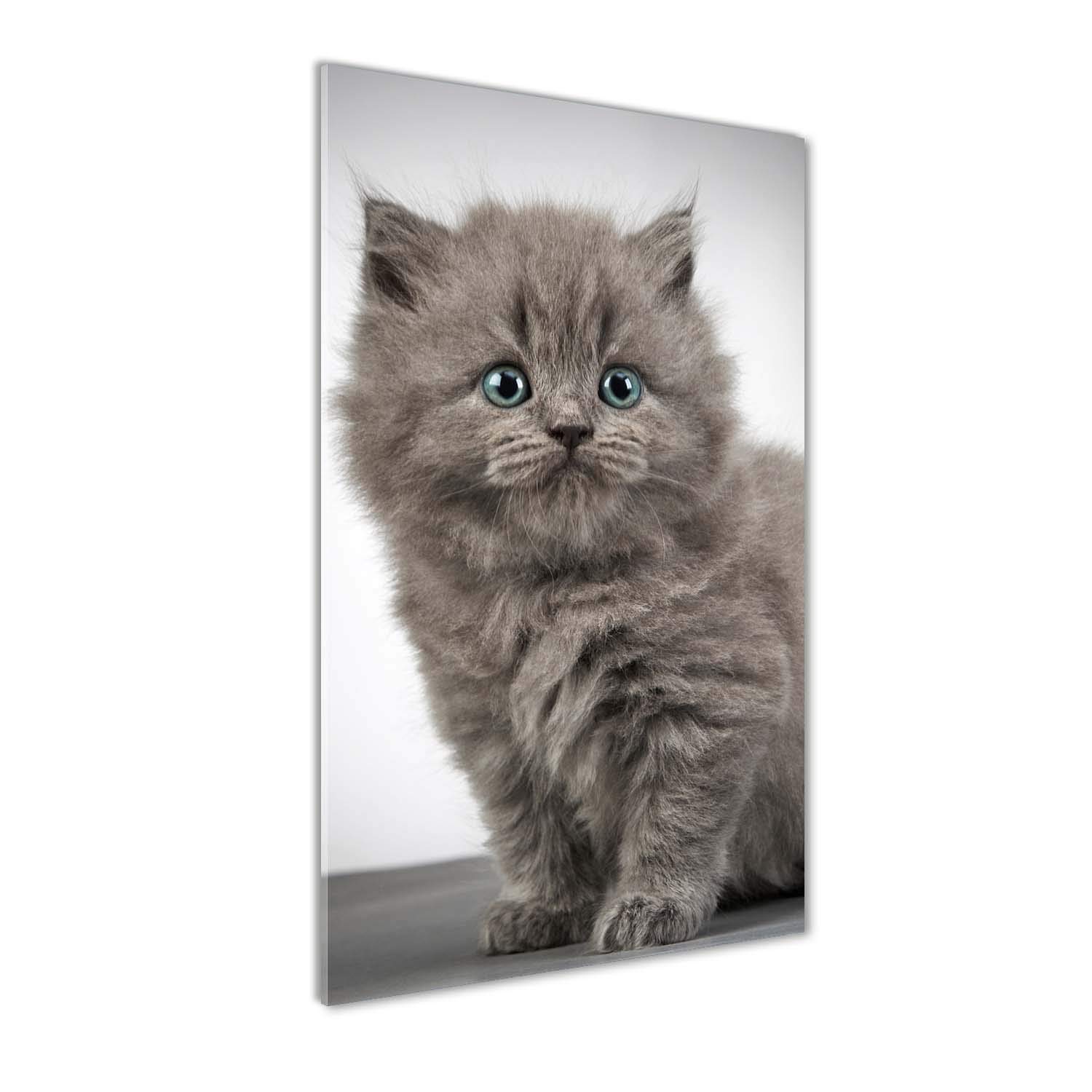 Peinture sur verre 70x140cm chat gris pour décoration salon moderne