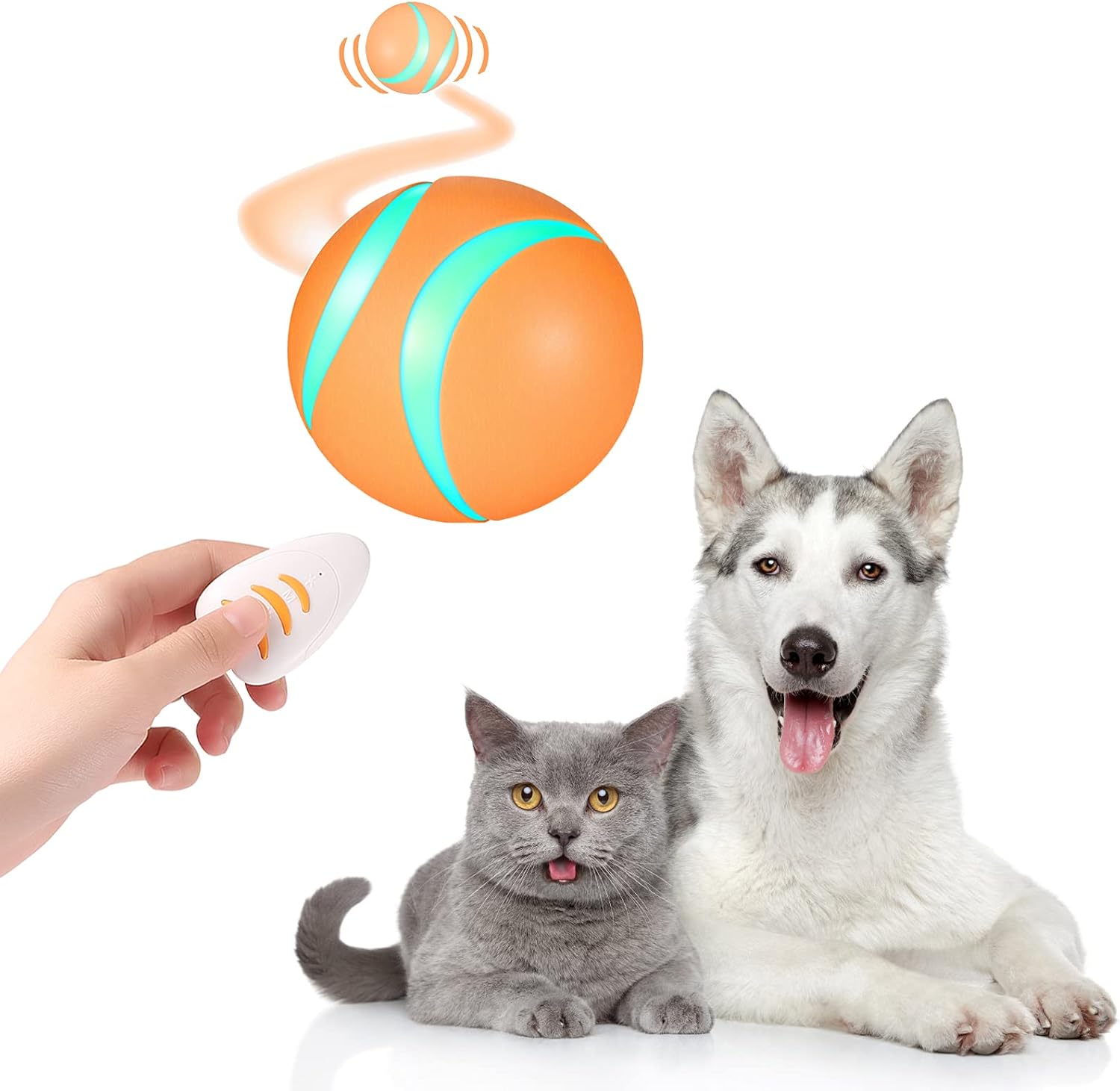 remote control ball for dogs