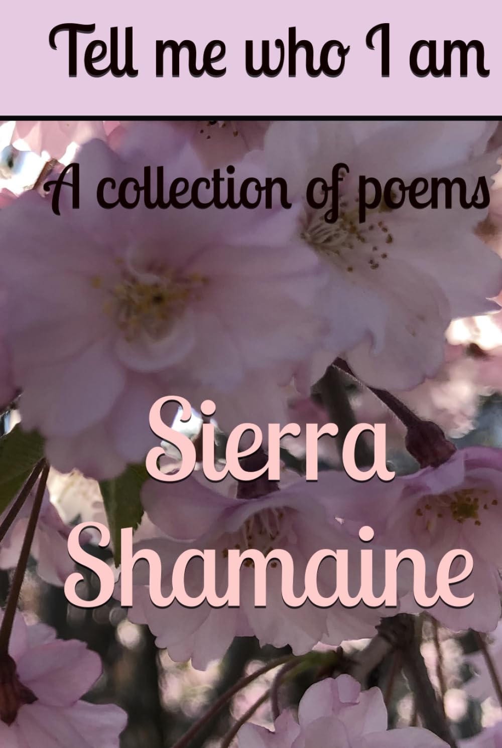 Tell me who I am: A collection of poems