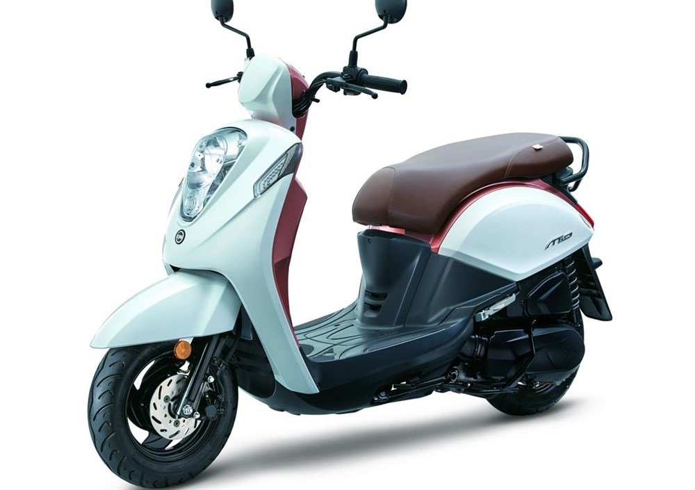 PARABREZZA SY.M MIO 50-100 cod.23001 paravento